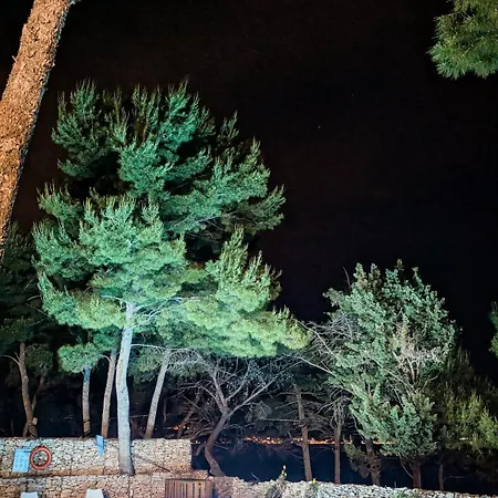 Boutique Bunja 2* سوبيتار